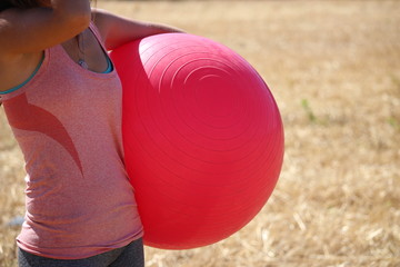 swiss ball gym douce