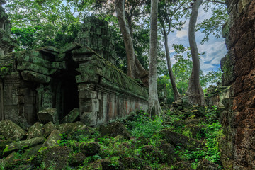 Verfall am Ta Prohm Tempel in Angkor, Kambodscha