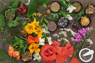 Flower and herb selection used in natural alternative herbal medicine with mortar and pestle on oak...