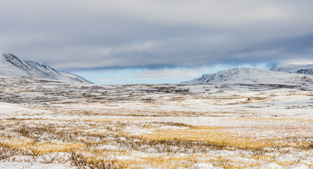 Winter Dovrefjell
