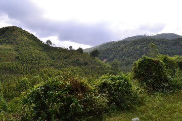 landscape in vietnam
