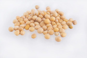 Yellow Mustard Seeds - Sinapis alba
