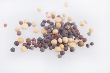Seeds of yellow and black mustard
