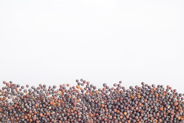 Black Mustard Seeds - Brassica nigra