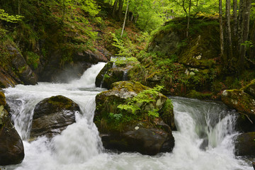 Fototapeta premium Torrent dans les roches de la réserve naturelle d'Orlu (09110), département de l'Ariège en région Occitanie, France 