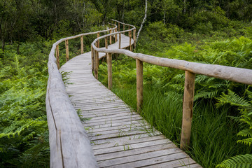 Wooden Footpath Detail