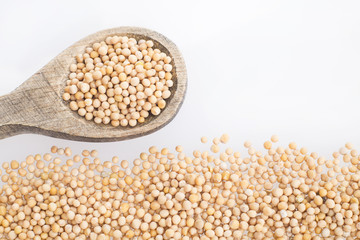 Yellow Mustard Seeds - Sinapis alba