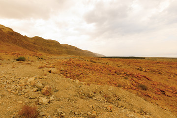 Ein Gedi Nature Reserve.
