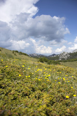 Plateau on Velebit mountain in Croatia