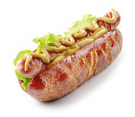 hot dog on white background