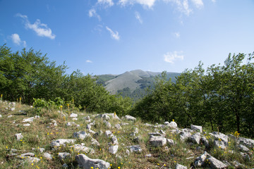 Monte Cervati, Parco Nazionale del Cilento e Vallo di Diano, primavera, vista da sud