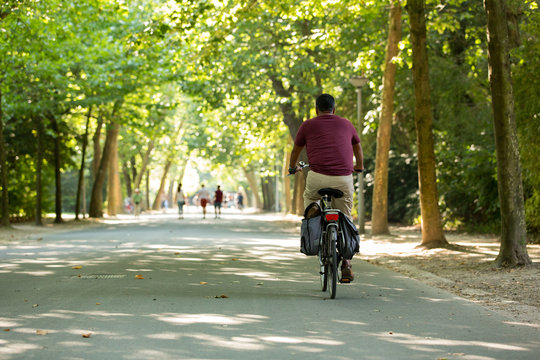 Man biking in a sunny Vondelpark