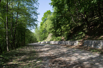 Strada forestale verso Monte Cervati, da Sanza, Parco Nazionale del Cilento e Vallo di Diano,...