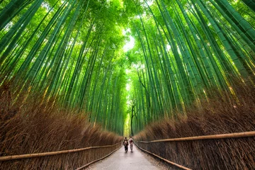 Selbstklebende Fototapete Kyoto Sagano-Pfad, Kyoto, Japan