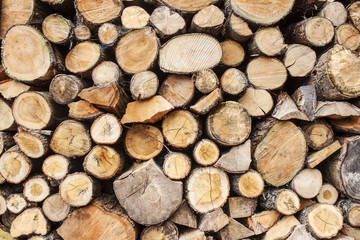 Woodpile II