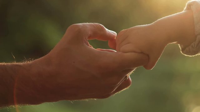 Father holding tiny babys's hand on a green background