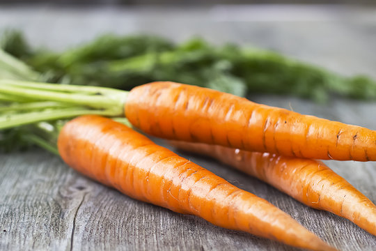 Organic Fresh Carrots on a gray wooden background.