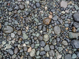 Beach pebbles in the rain