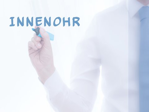 Innenohr
