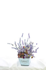 ラベンダーとバラ