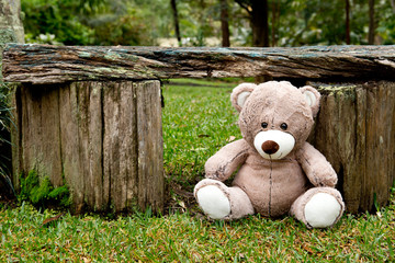 Teddy Bear with rustic wooden slab bench seat