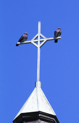 Pigeons on a cross