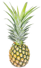 Pineapple on a white background