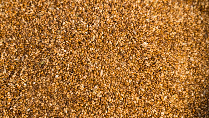 Farrow Grains Wheat Whole Food