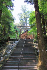 Fototapeta premium 伊野天照皇大神宮、