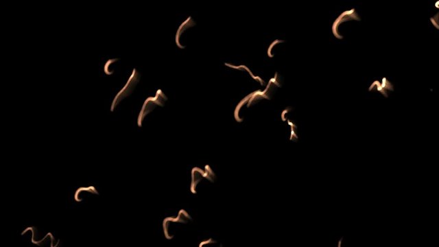 4k Abstract floating microscopic micro nano firework lines particle,Dirt dust bacteria cells spores roundworm parasites virus background.