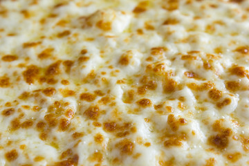 Cheese pizza