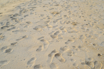 Foot print