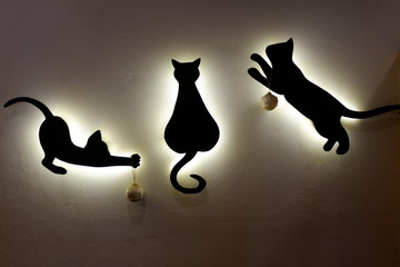 3 shadow cats