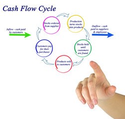 Cash Flow Cycle