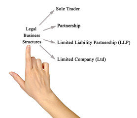 Legal Business Structures