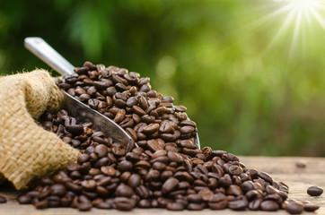 coffee bean bag and coffee roasted over nature green background