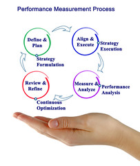 Performance Measurement Process.