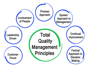 Total Quality Management Principles
