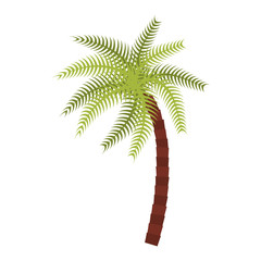 tropical palm icon