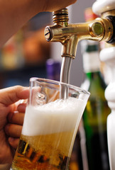 Fototapeta na wymiar Pouring beer into glass