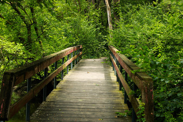 This sturdy bridge will lead you to adventure and wildlife.