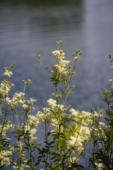 Natur, Freizeit, Erleben