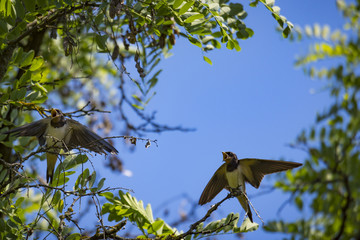 Natur, Freizeit, Erleben