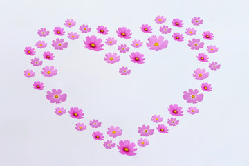 コスモスとハート