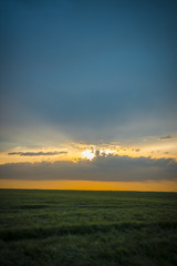 Tiere, Wandern, Freizeit, Erleben, Natur