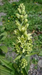 Obraz premium Tiere, Wandern, Freizeit, Erleben, Natur