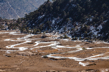 Glacial trace on yellow stone ground at Thangu and Chopta valley in winter in Lachen. North Sikkim, India.