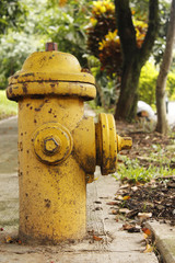 hydrant
