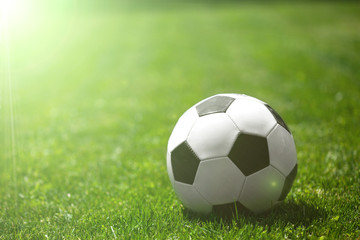 Soccer ball on the grass