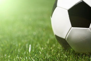 Fototapeta na wymiar Soccer ball on the grass